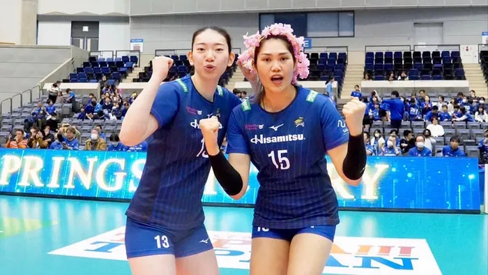 volleybox เดิมพันออนไลน์ครบทุกกีฬา สมัครรับโปรทันที